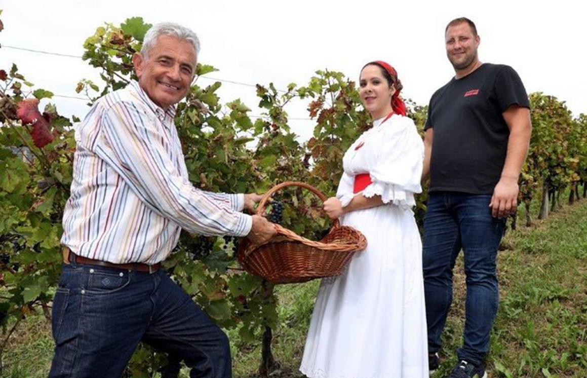 'Grožđe je zdravo, ali ove godine nećemo lako do vrhunskih vina'