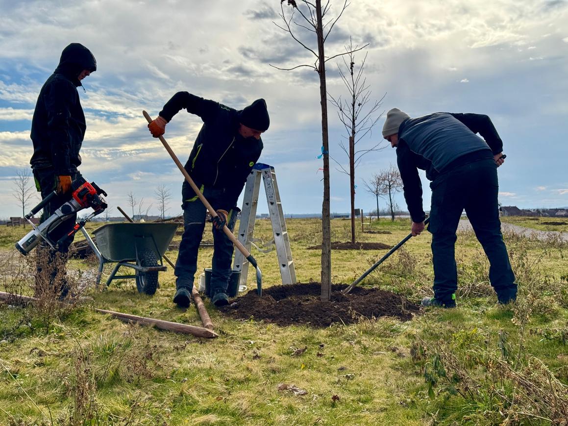 U zelenom ritmu – 660 stabala za park Papuk i gradske ulice