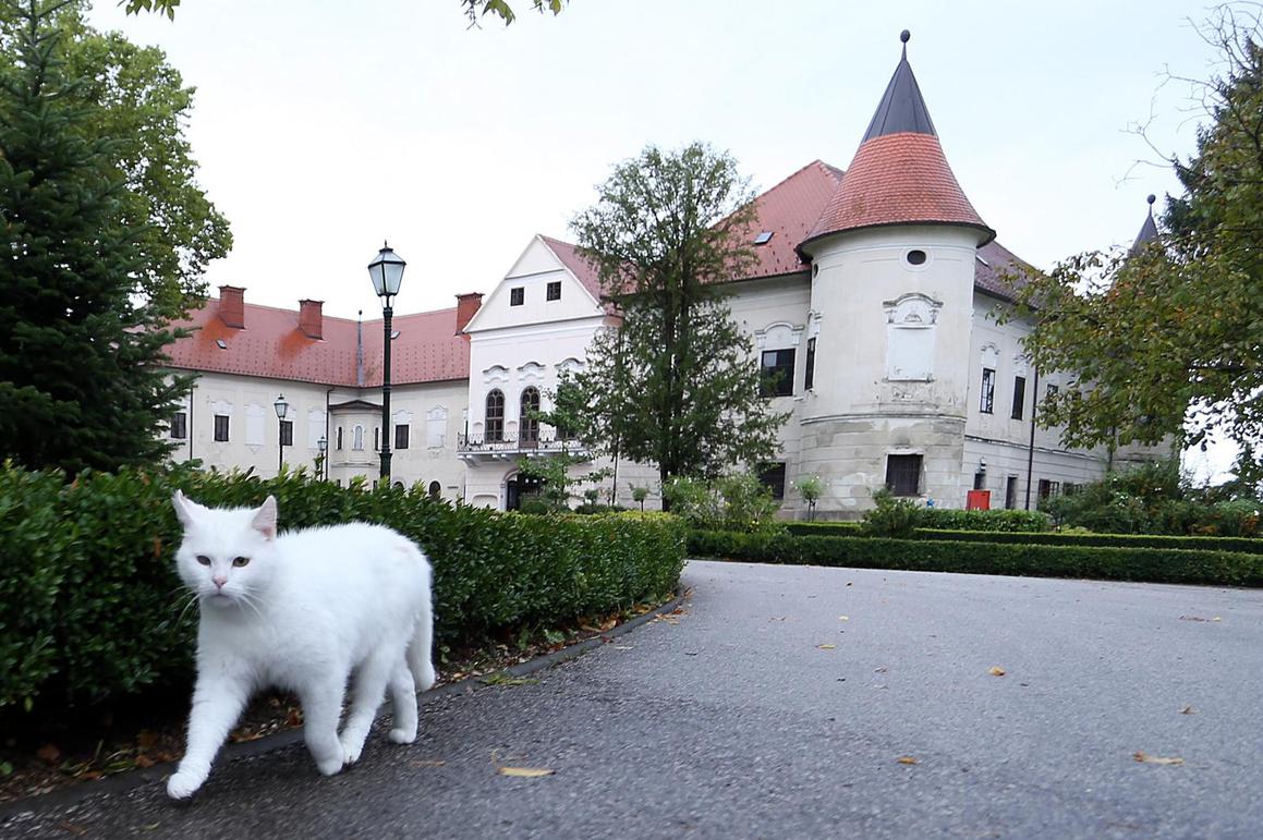 Tajanstvena šetnja dvorcem moguća je samo jednom u godini