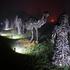 Skulpture od vinove loze osvijetljene tisućama šarenih blagdanskih lampica
