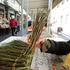 Prve ovogodišnje šparoge stigle su na Gradsku tržnicu Rijeka