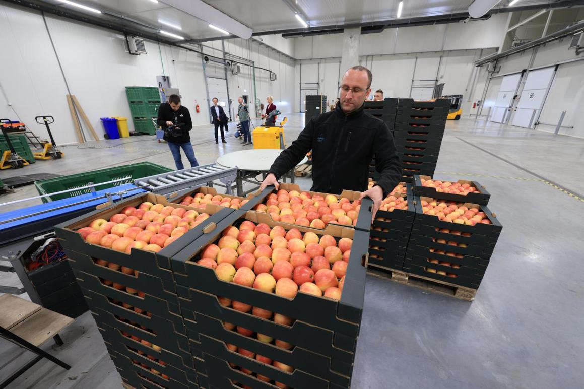 RDC spreman za novu sezonu prihvata voća i povrća