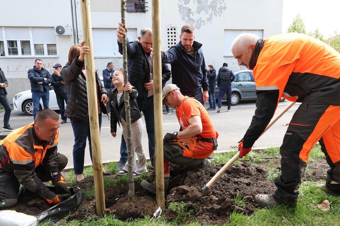 Radičevićevoj ulici u Donjem gradu nova infrastruktura i zelenilo