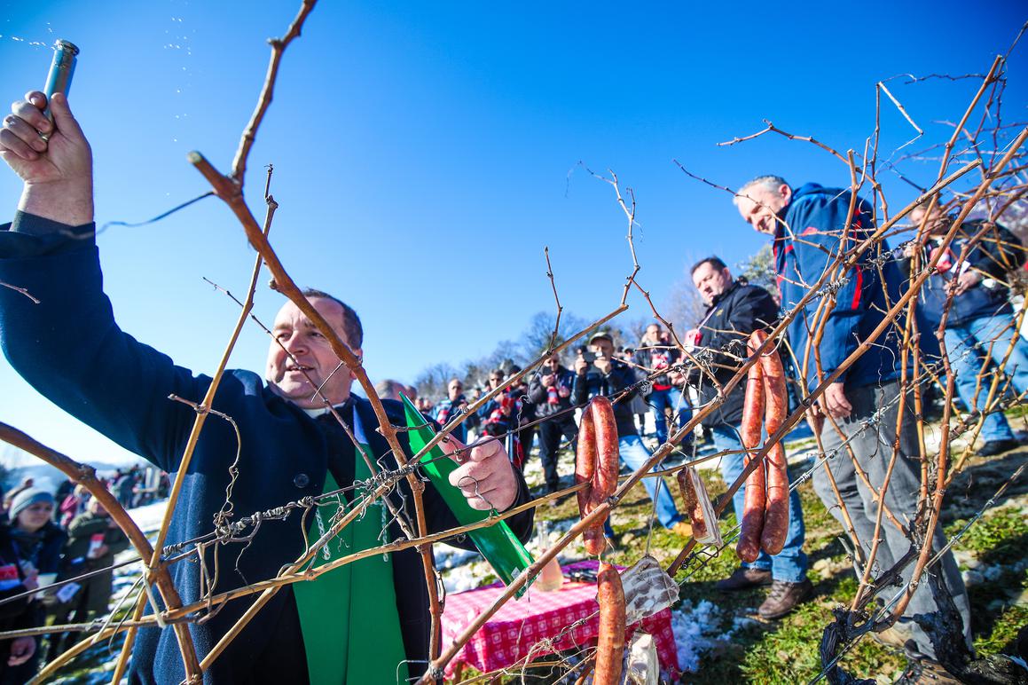 Obilježen blagdan svetog Vinka i prvi odlazak u vinograd