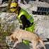 Pas pretraži 1000 četvornih metara ruševina u samo 20 minuta