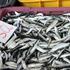 Vrtoglave cijene ribe na šibenskoj tržnici: Papaline jedine jeftine!