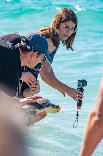 Aquarium Pula vratio oporavljene glavate želve u more