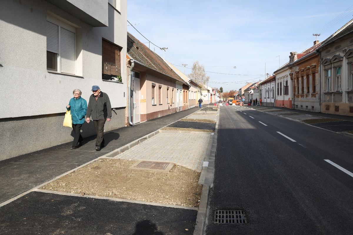 U ULICI će biti posađena 73 stabla ukrasne šljive, dok ih je prije bilo 47