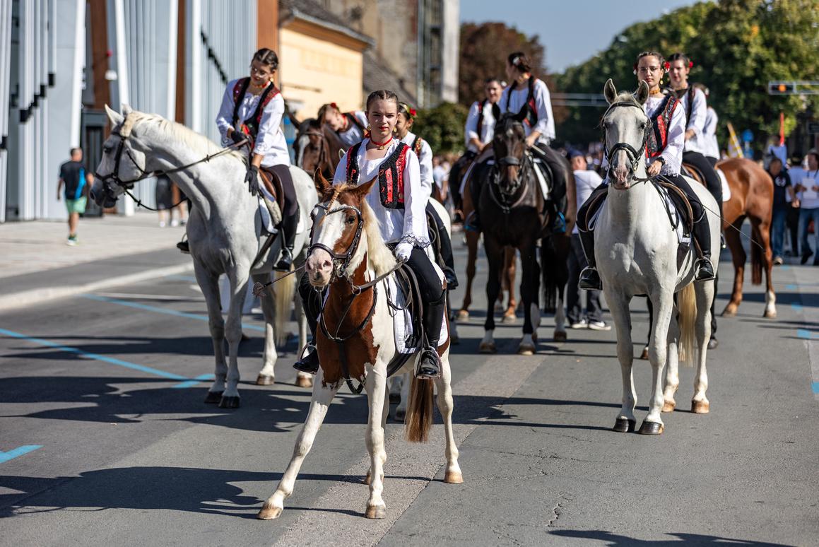 Vinkovačke jeseni – najveća tradicijska manifestacija u Hrvatskoj