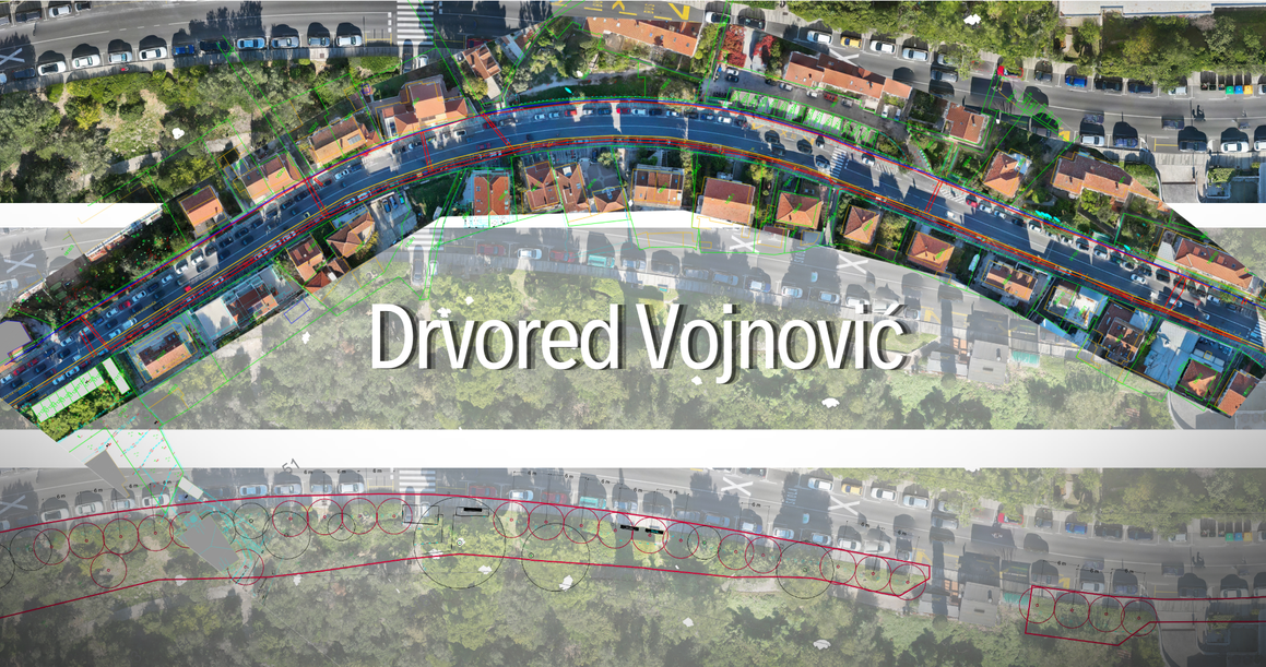 Zeleni prsten oko Grada obnovit će i povijesni drvored kanarskih palmi