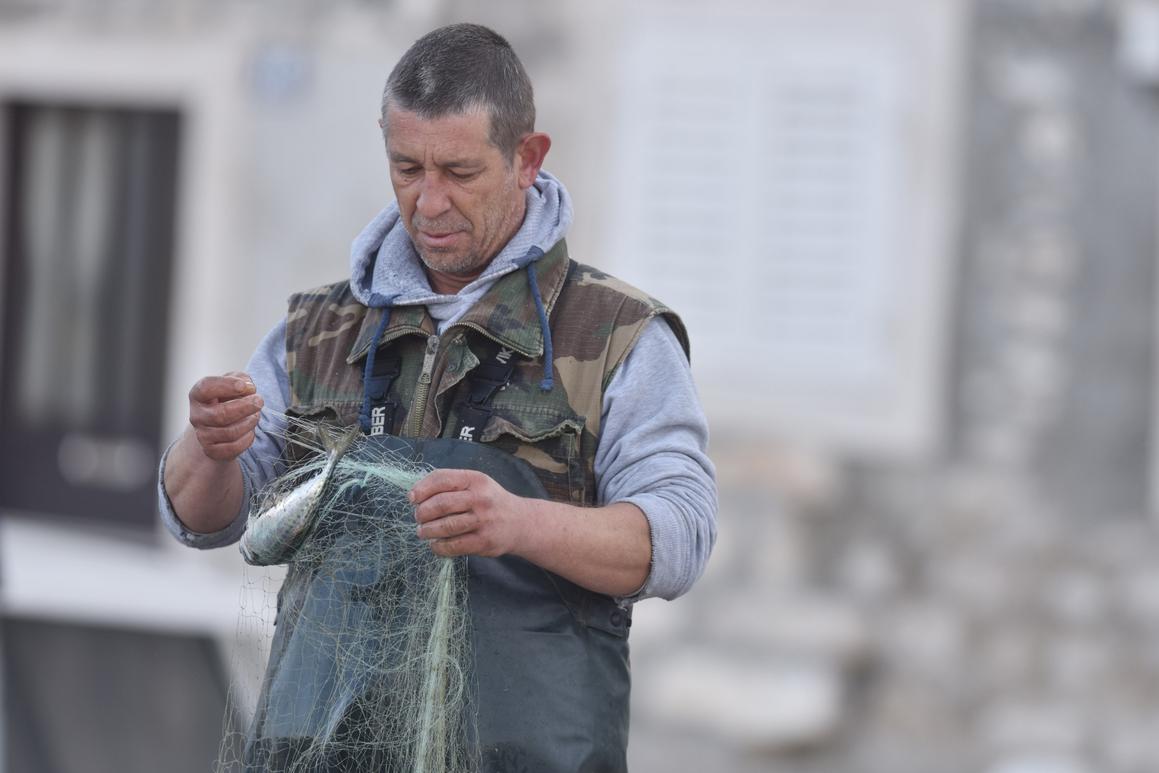 Jutarnji ulov lokalnih ribara naći će se na stolovima Šibenčana