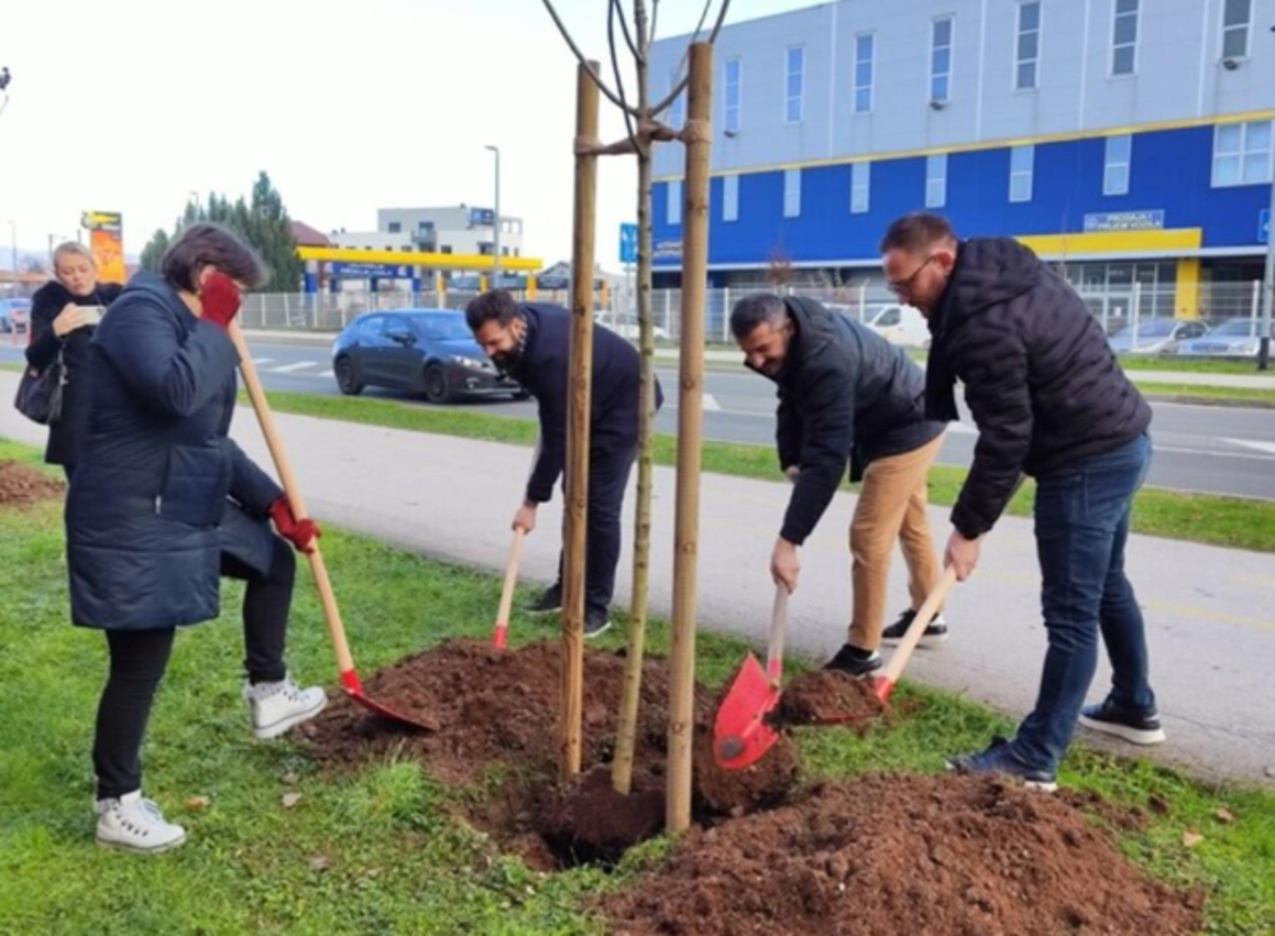 U Kačićevoj posađeno još 80 stabala raznih vrsta