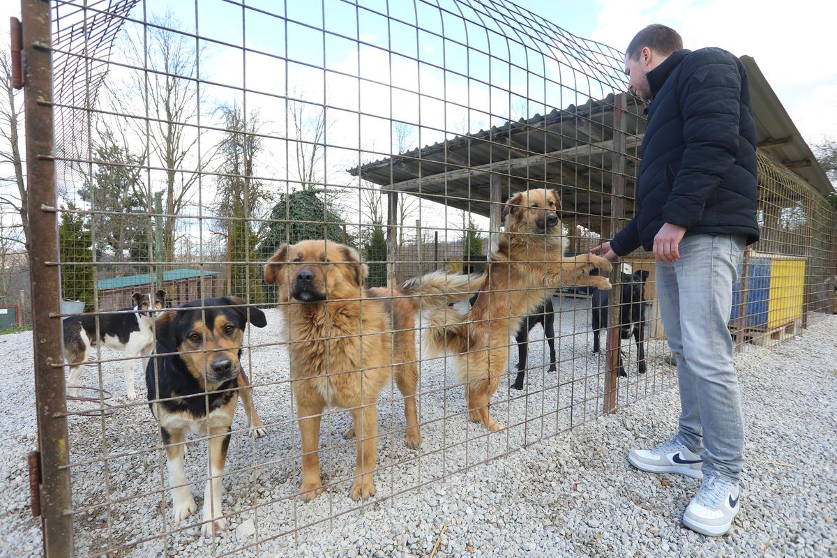 Podupiru i rad Skloništa za životinje, iz kojega je lani udomljeno 148 pasa te je sterilizirano, odnosno kastrirano 65 mačaka koje su vraćene na mjesto pronalaska