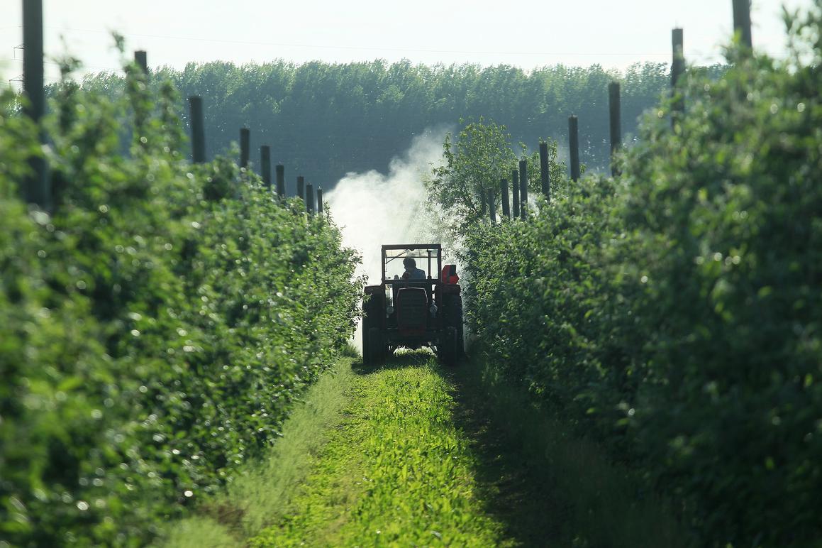 Osigurane potpore za modernizaciju proizvodnje, stočarstvo, seoski turizam...