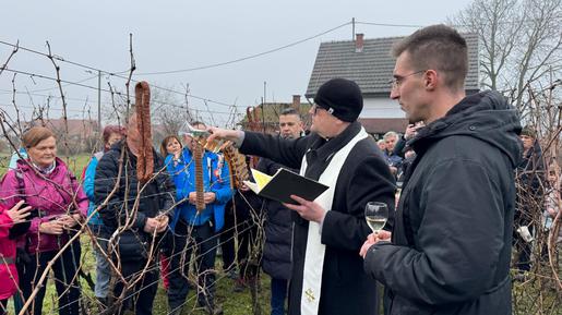 Vinogradari se na ovaj blagdan tradicionalno okupljaju u svojim vinogradima