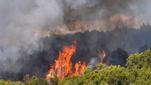 Udruga "Vrba" udovoljila je tako uvjetima s čak 11 šumskih cesta na području katastarskih općina Paruževac, Bađinec, Brezje i Novaki