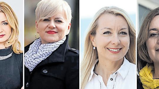Ermina Duraj, Melita Pavlek, Vlatka Vučić Marasović i Senka Bilać ističu kako im je cilj pomoći pozicionirati struku u javnom sektoru