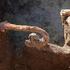 Senzacionalno otkriće: Nedaleko Vinkovaca pronađena rimska kola s upregnutim konjima iz 3. stoljeća
