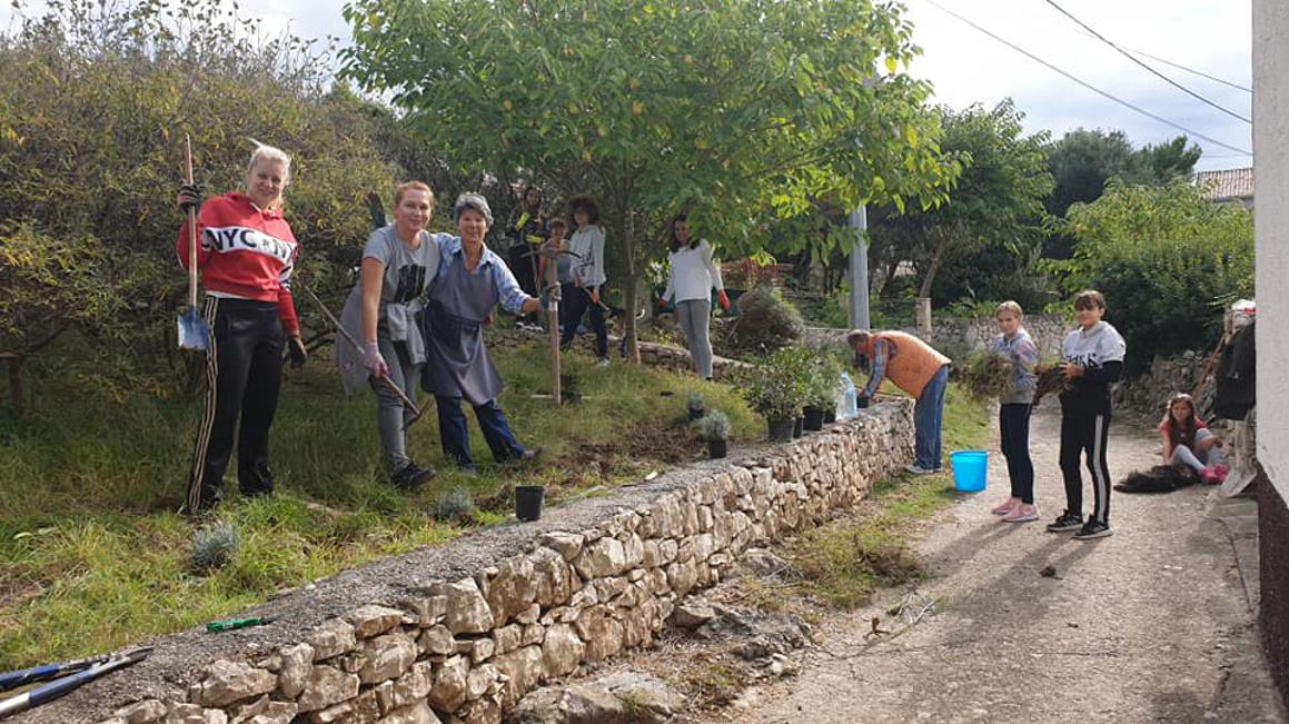 77 dobrovoljaca uredilo zelene površine, krčilo puteve i posadilo 130 biljaka na Unijama