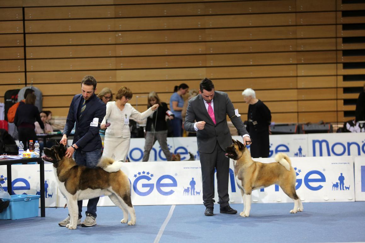 U Rijeci održana CACIB Međunarodna izložba pasa