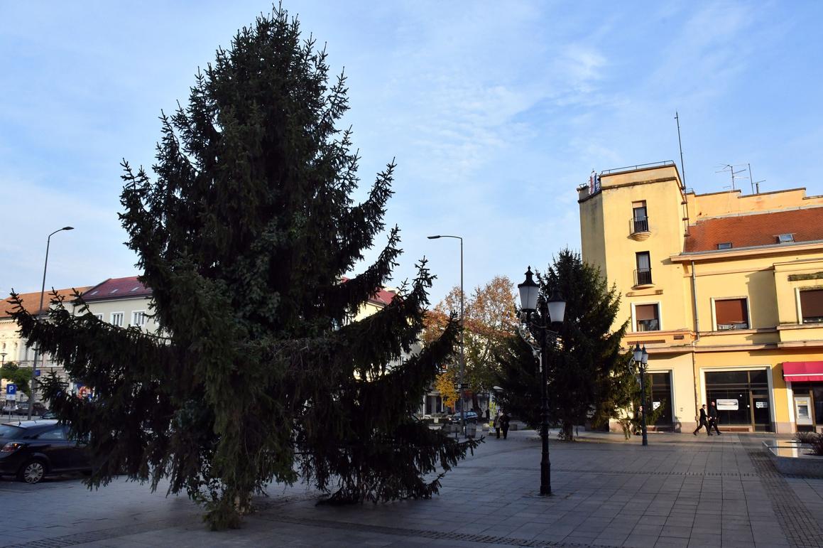 Građani donirali božićna drvca postavljena u središtu grada