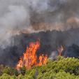 Udruga "Vrba" udovoljila je tako uvjetima s čak 11 šumskih cesta na području katastarskih općina Paruževac, Bađinec, Brezje i Novaki