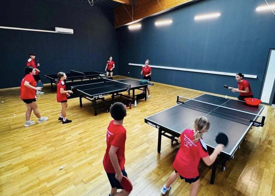 Zoran Primorac posjetio grad na Bosutu