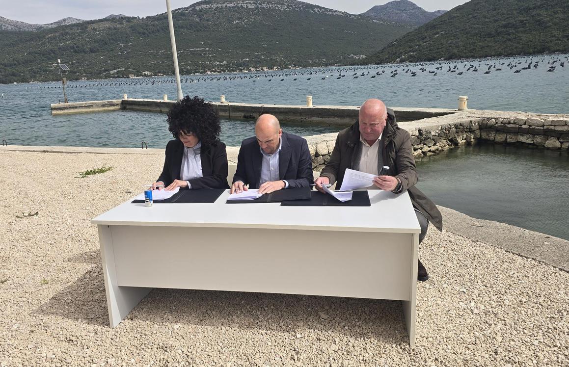 Nastavljaju podupirati uzgoj kamenice, jednoga od simbola juga