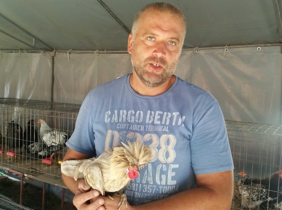 Goran Pejčić uzgaja ukrasne kokoši, cijena im je od 30 do 100 eura