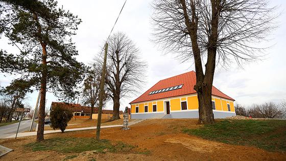 U kući će biti Memorijalni muzej Petra Preradovića