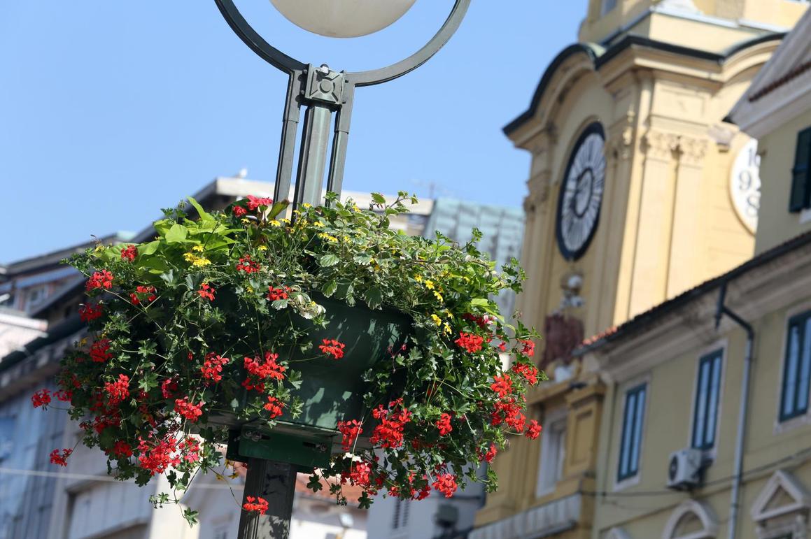 Središte grada ukrašeno cvijećem