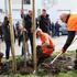 Radičevićevoj ulici u Donjem gradu nova infrastruktura i zelenilo