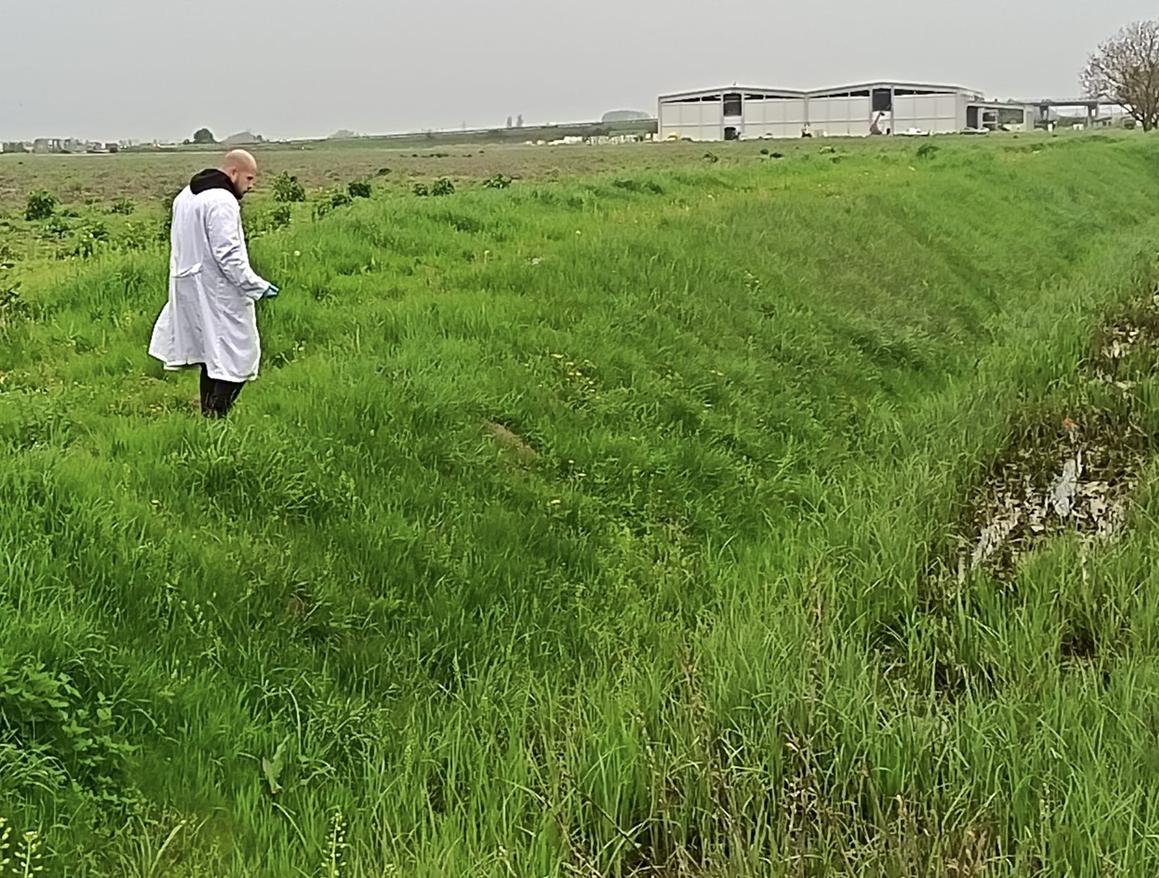 Na deset poznatih žarišta larvicidnim tretmanima smanjuju broj ličinki komaraca