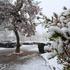 Gusti snijeg prekrio karlovačke parkove i prometnice