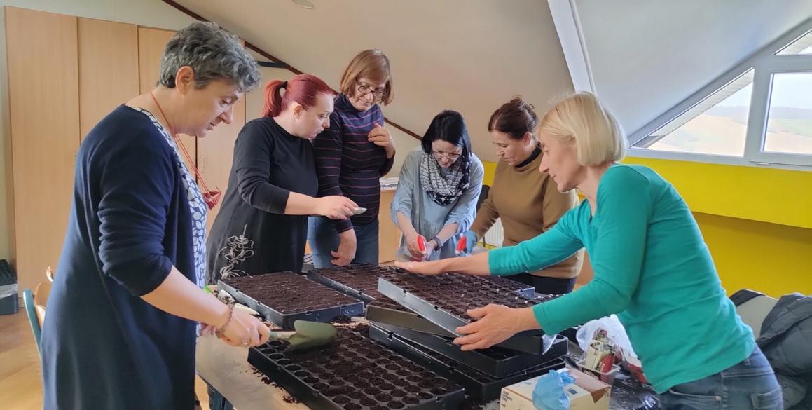 Od inovativnog poduzetništva do školskih ekoloških vrtova