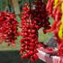Održan tradicionalni 10. Festival paprike u Lugu