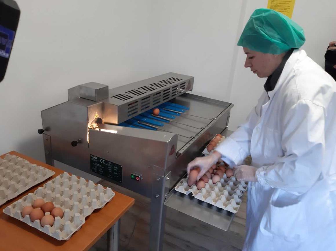 U Lovasu otvoren pakirni centar za jaja iz slobodnog uzgoja