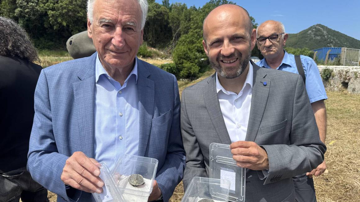 Mladunci riječne kornjače pušteni u stonsku lokvu