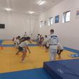 storyeditor/2024-08-01/Judo.jpg