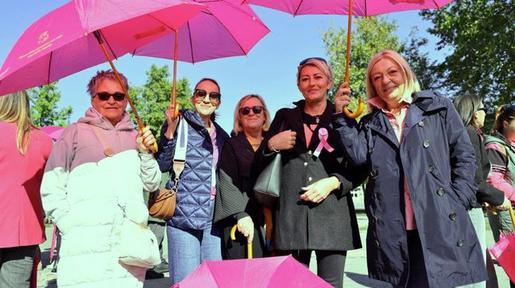 storyeditor/2025-10-10/ruzicasta_041025_autor_fotografije_drazen_kopac_1_jpg__648x432_q85_subsampling-2.jpg