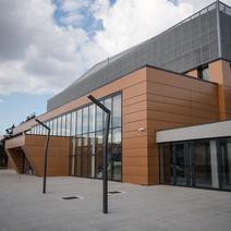 Čepin