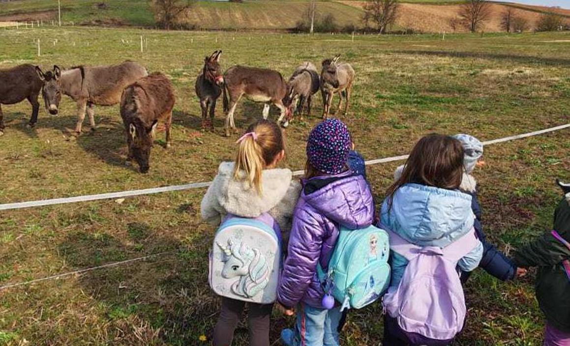 Djeca posjetila Aquatiku, farmu magaraca, Stari grad Dubovac