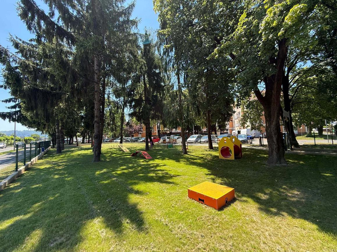 Hladovina i prostor za igru čekaju pse u Južnom naselju