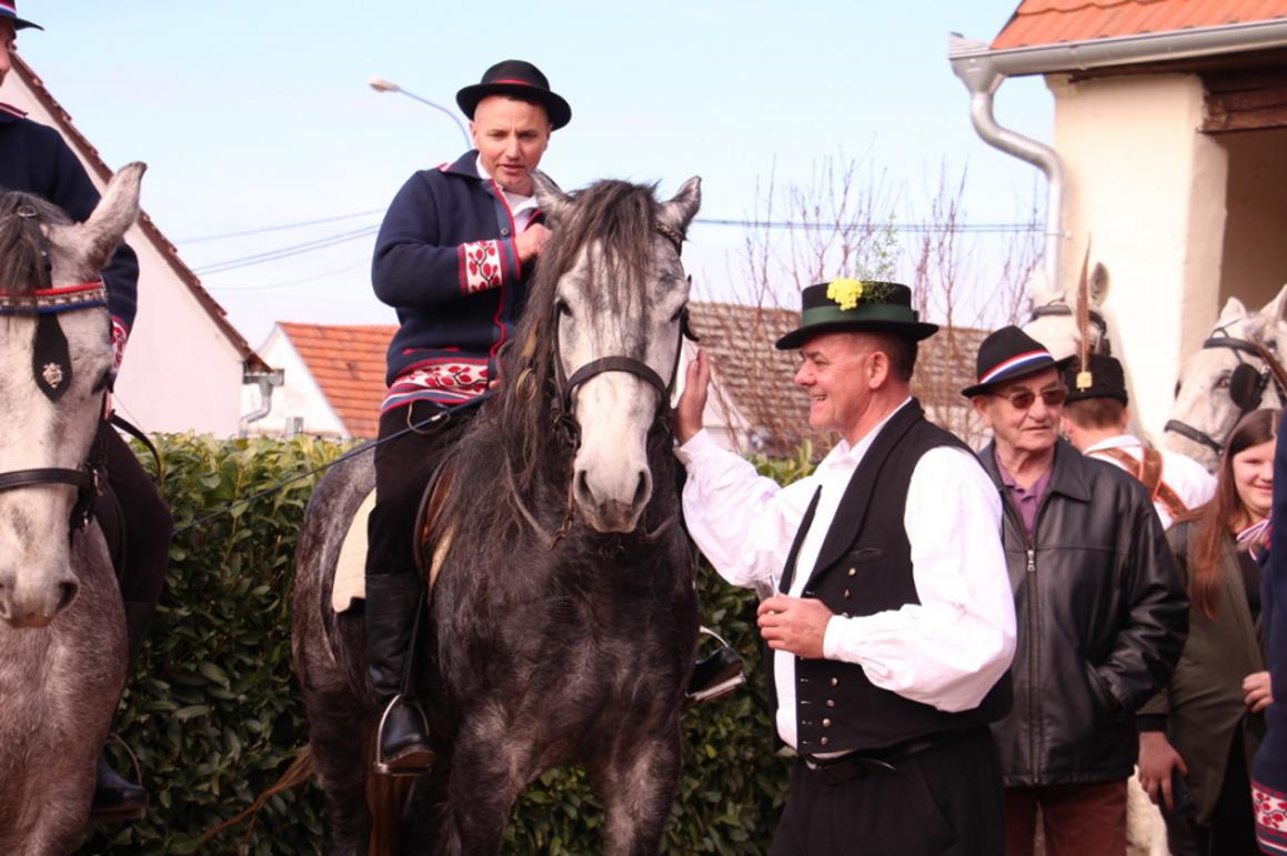 Dokaz da konjogojstvo u Slavoniji ostaje i opstaje