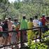 Veliki broj posjetitelja uživa u ljepotama Nacionalnog parka Krka