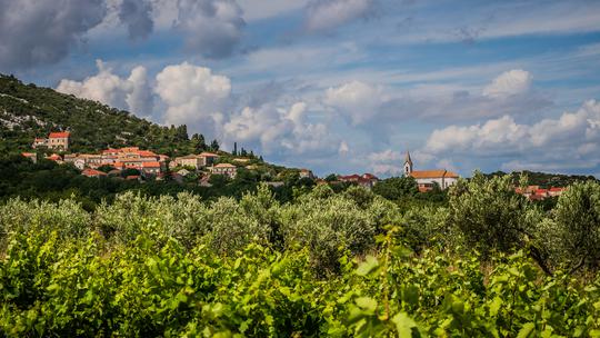 Dubrovačko-neretvanska županija, Grad Dubrovnik i Općina Konavle proteklih su pet godina sufinancirali projekt istraživanja i kloniranja ove vinske sorte, a priznavanje klona omogućit će veći broj sadnica te veću proizvodnja vina malvasija
