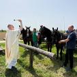 I ove godine ova tradicionalna manifestacija okupila je veliki broj građana