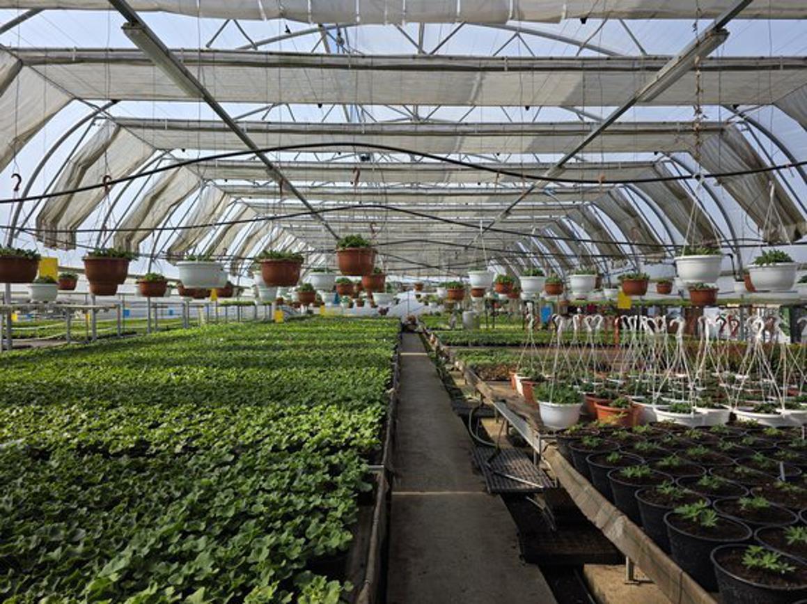 Domaćoj poljoprivrednoj proizvodnji paket potpora težak 1,5 milijuna €