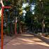 Dubrovčani ponovno mogu u šetnju i na druženje u Park Gradac