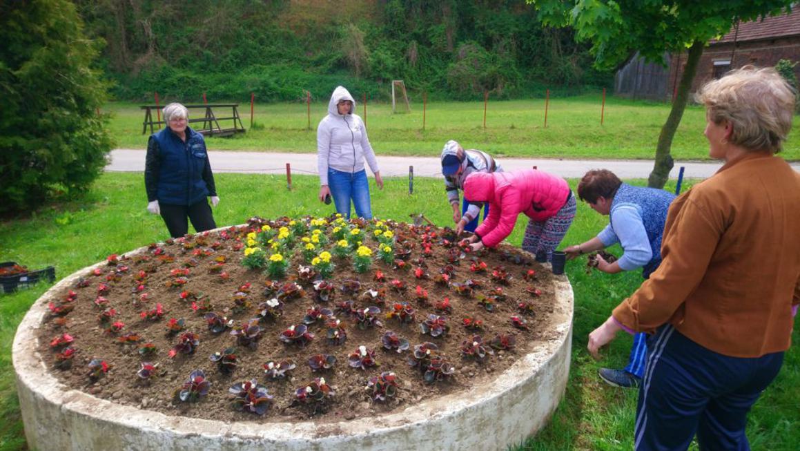 Zasadili 1300 raznovrsnih sadnica cvijeća